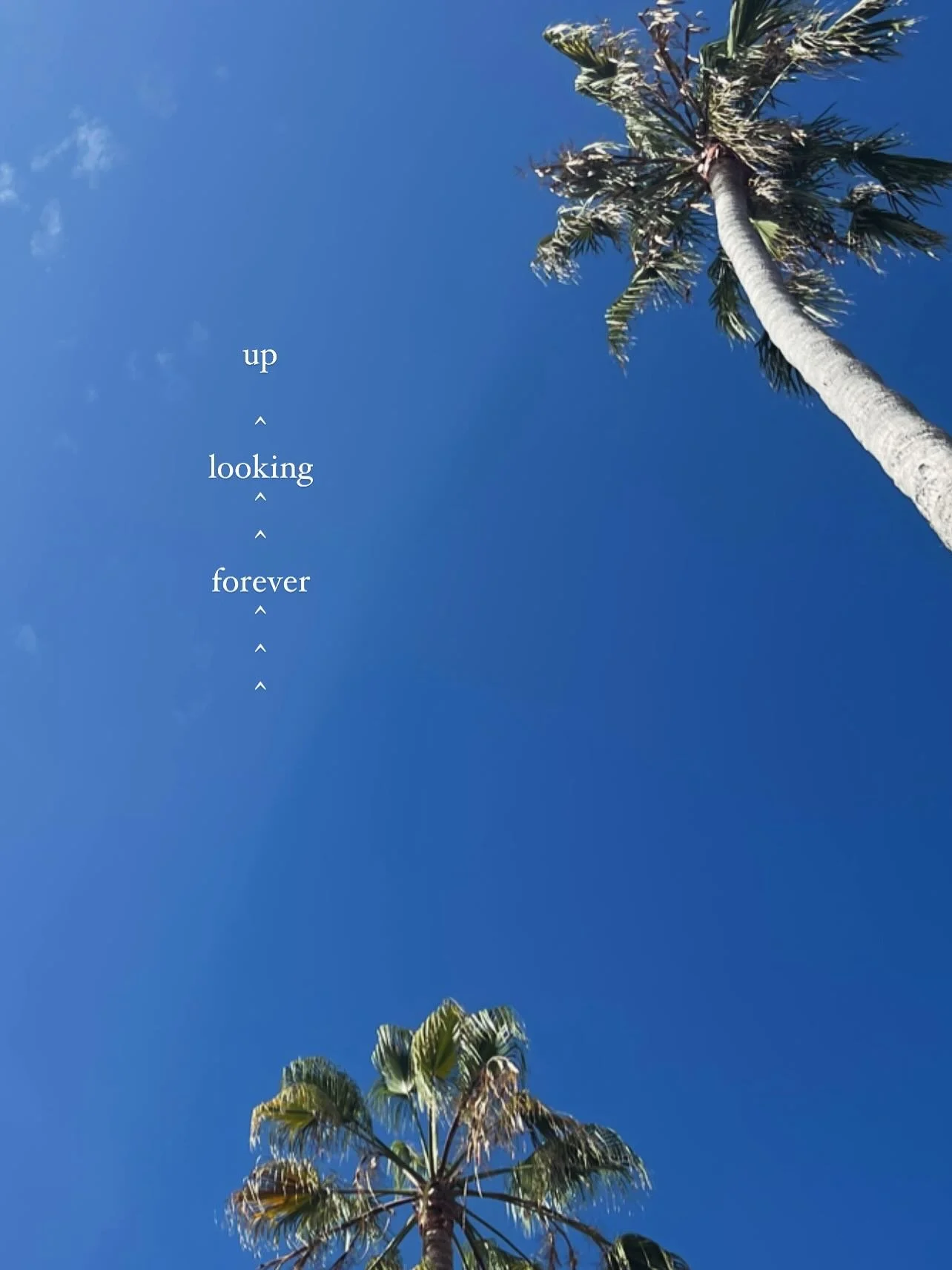 A lil recent run of life vibes / passed on &amp; around wisdom ... def check the last 😉 

Mostly mine / some other amazing humans / artists 🙏

Any strike a chord in you? ✨

#lifeinspo #inspire #motivationmemes #alanwatts #naturephoto #healingjourne