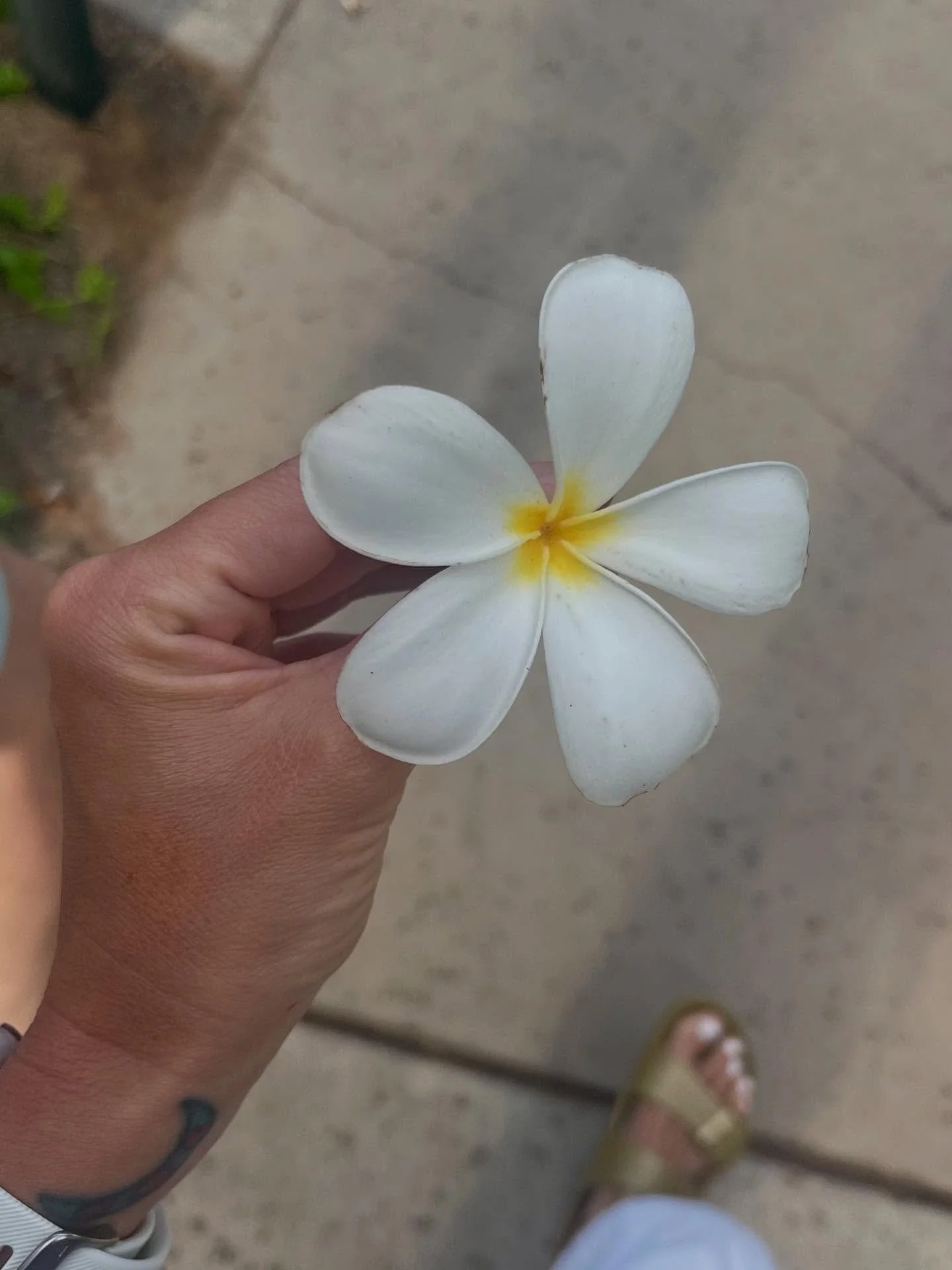 (Luckily🙏), I&rsquo;m still getting the question, &lsquo;how was your trip?&rsquo; &hellip; and I&rsquo;m immediately transported to Maui in my mind 🌺🌊🌴 &hellip; where time is slow, there&rsquo;s literally more sweetness in the air, wild beauty s