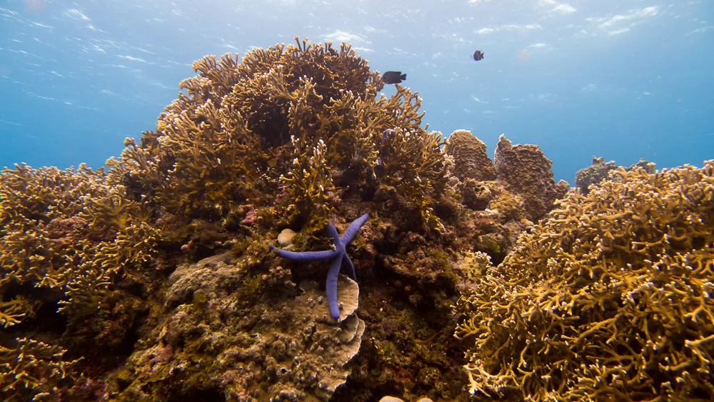 P1080051.jpg