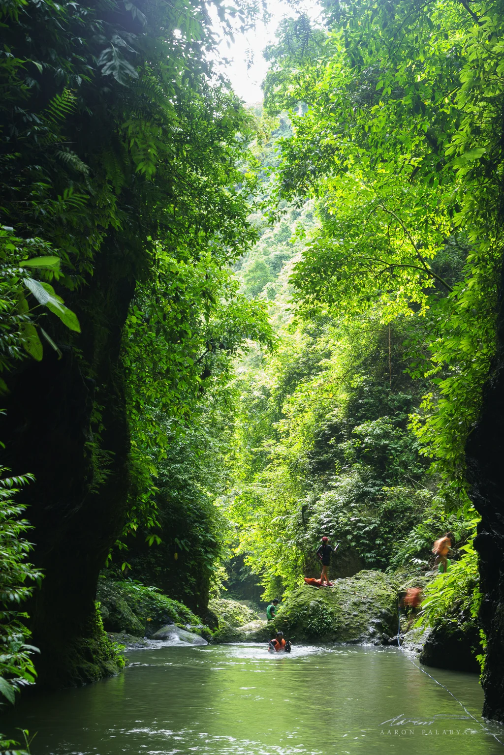 Looking back the way we came, the verdant canyon glows in the soft afternoon light.