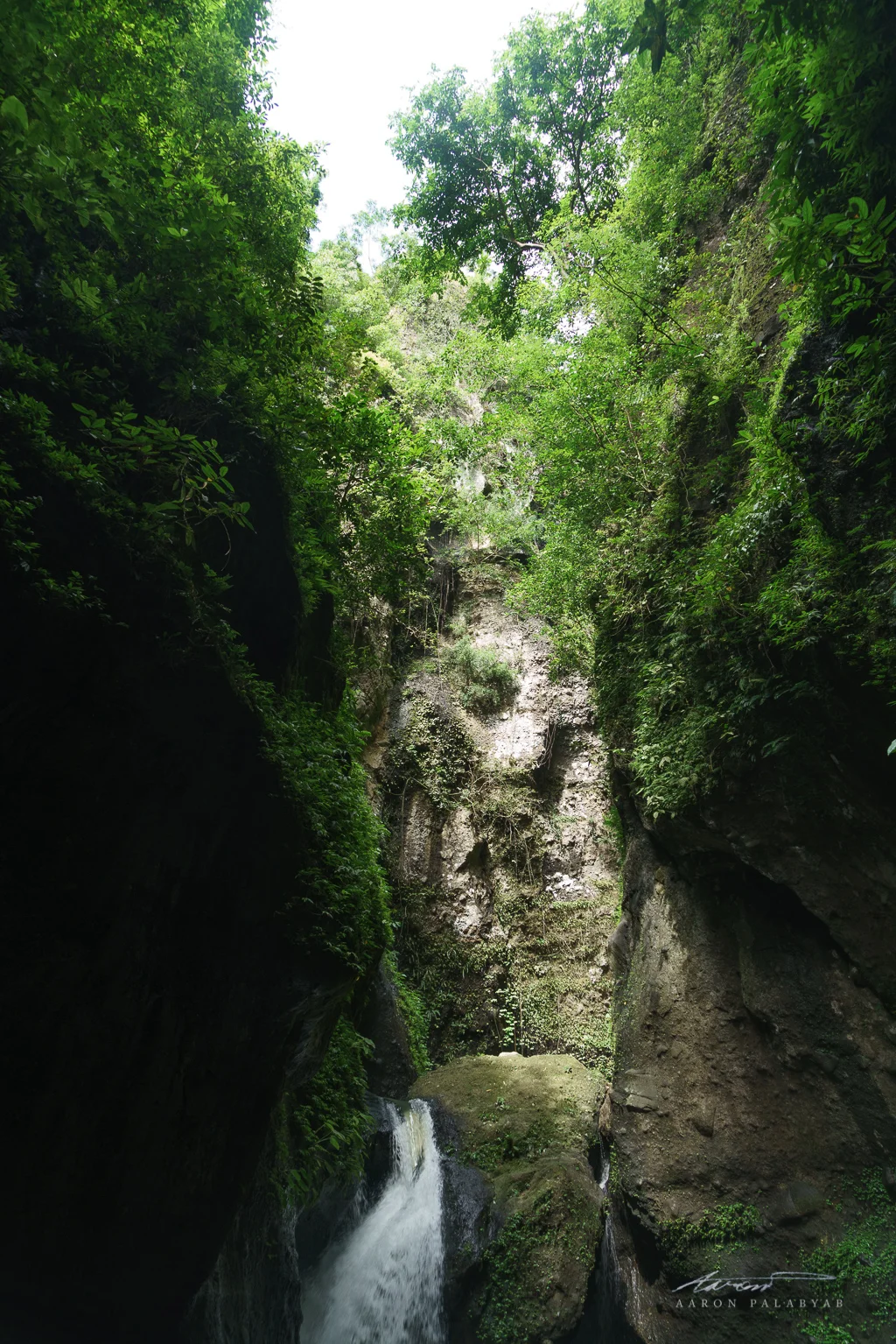 Showing the height of the canyon walls above the falls