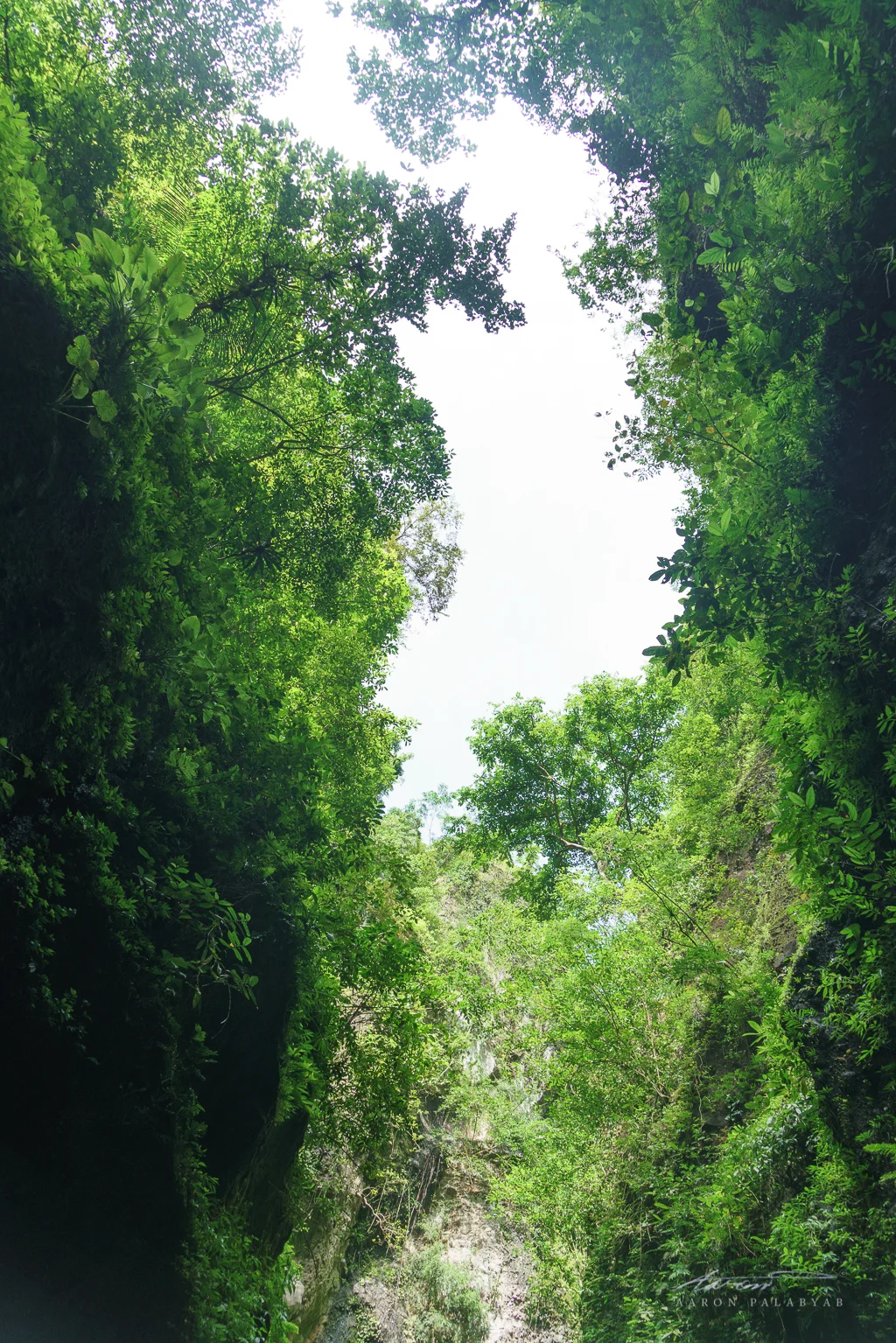 The view directly overhead