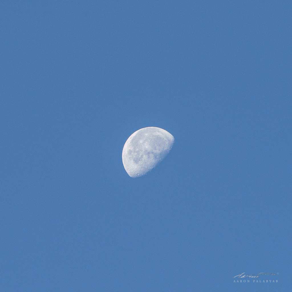 The moon still bright at 6:30am