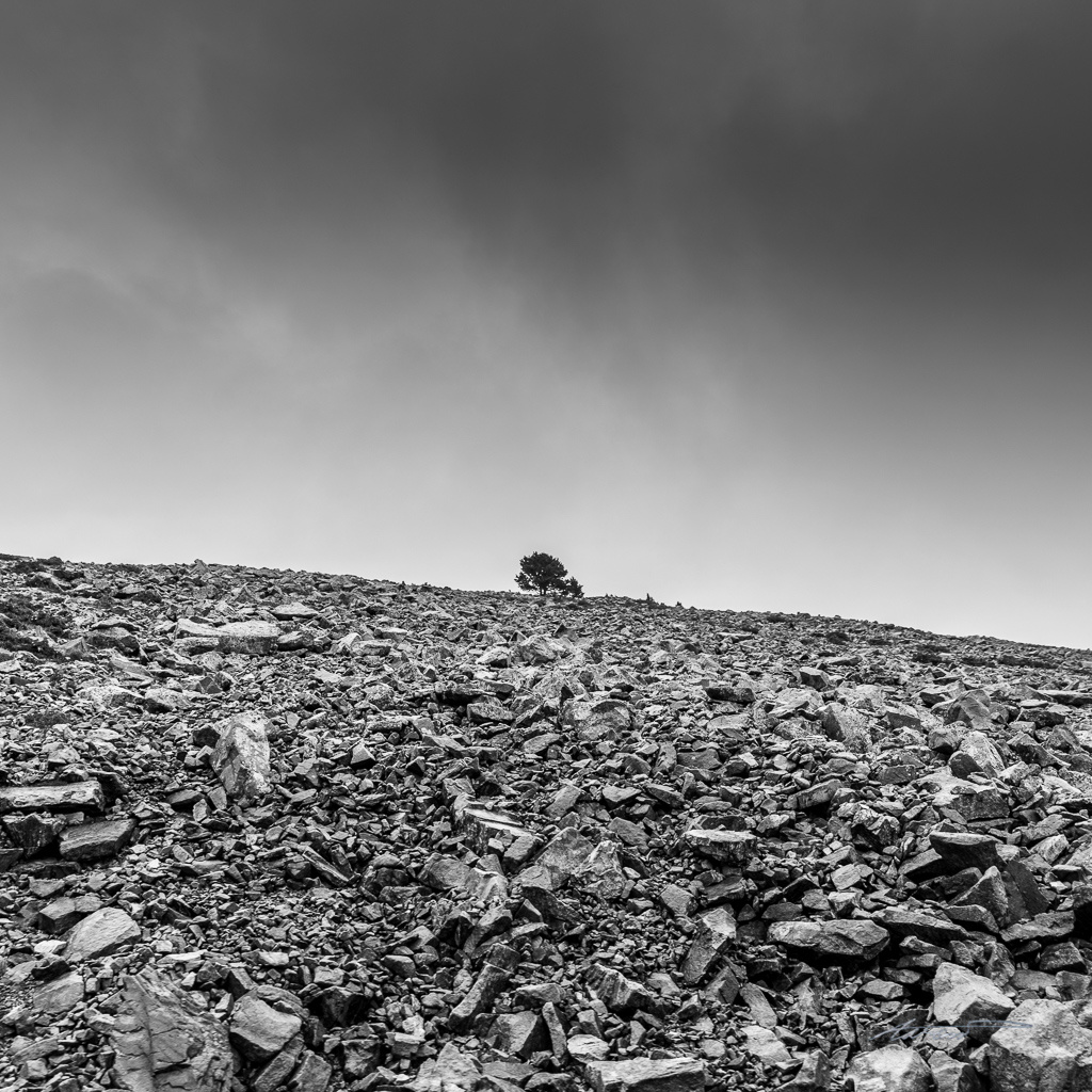 Sneaking in some fine art black-and-white type shots