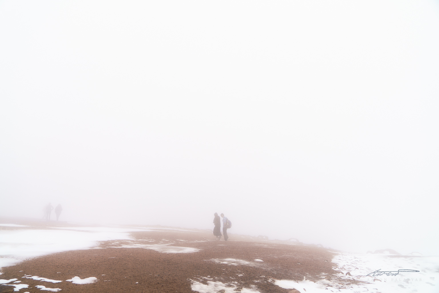 Strangers in the mist