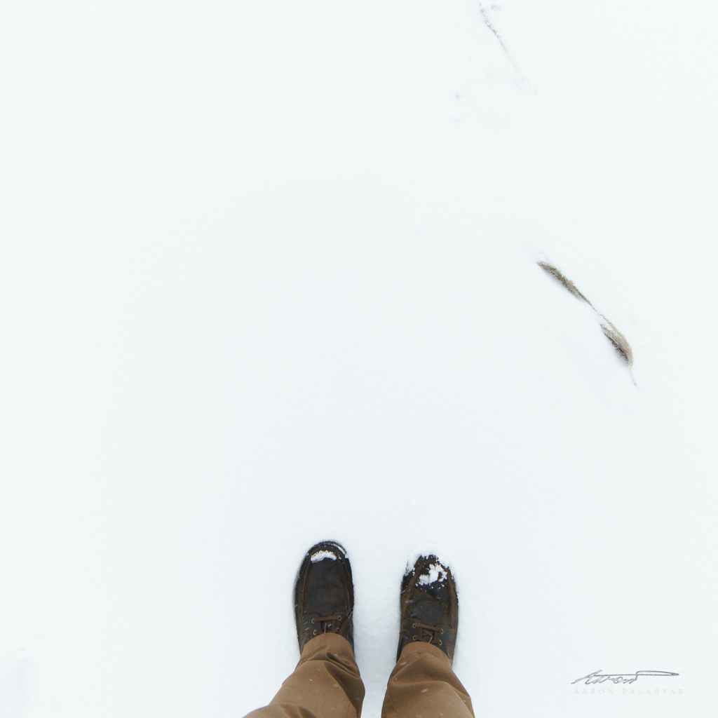 Snow = default minimalism