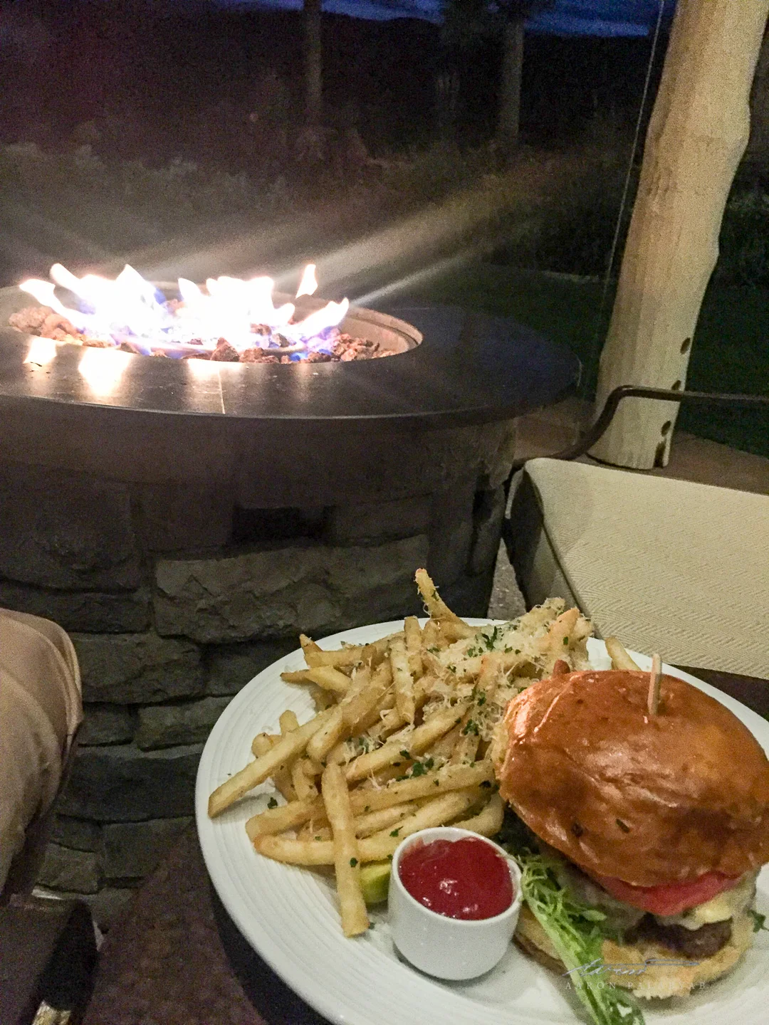 Cheeseburger and truffle fries. Nuff said. The best photo of this entire set.
