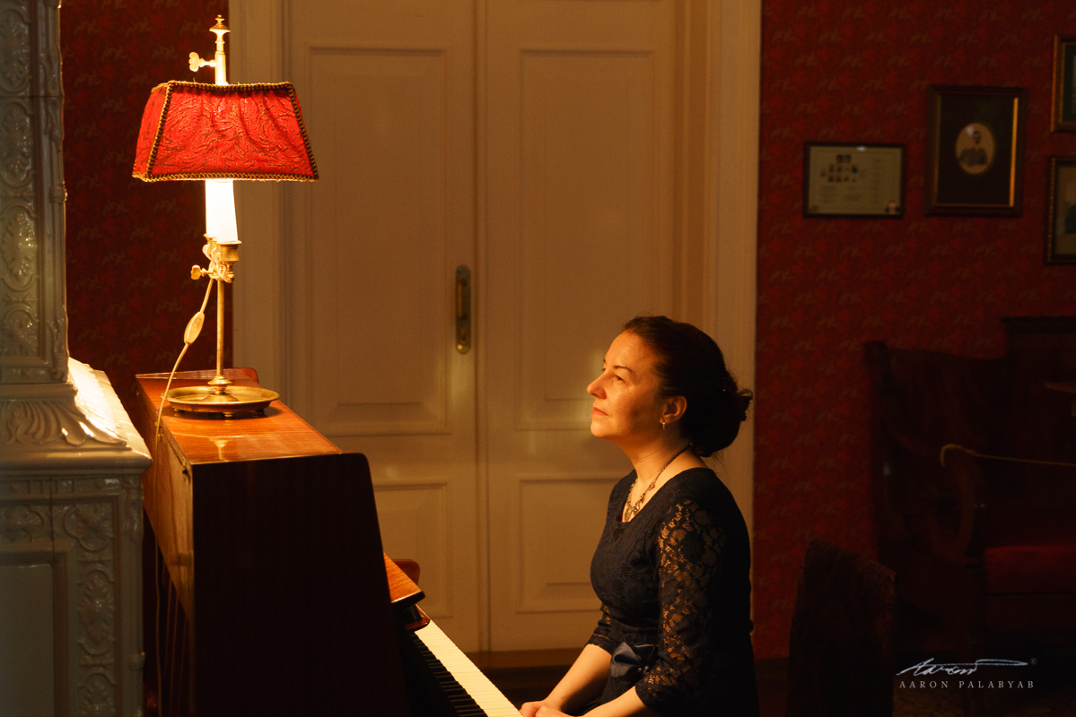 The pianist in the Volkonsky's drawing room