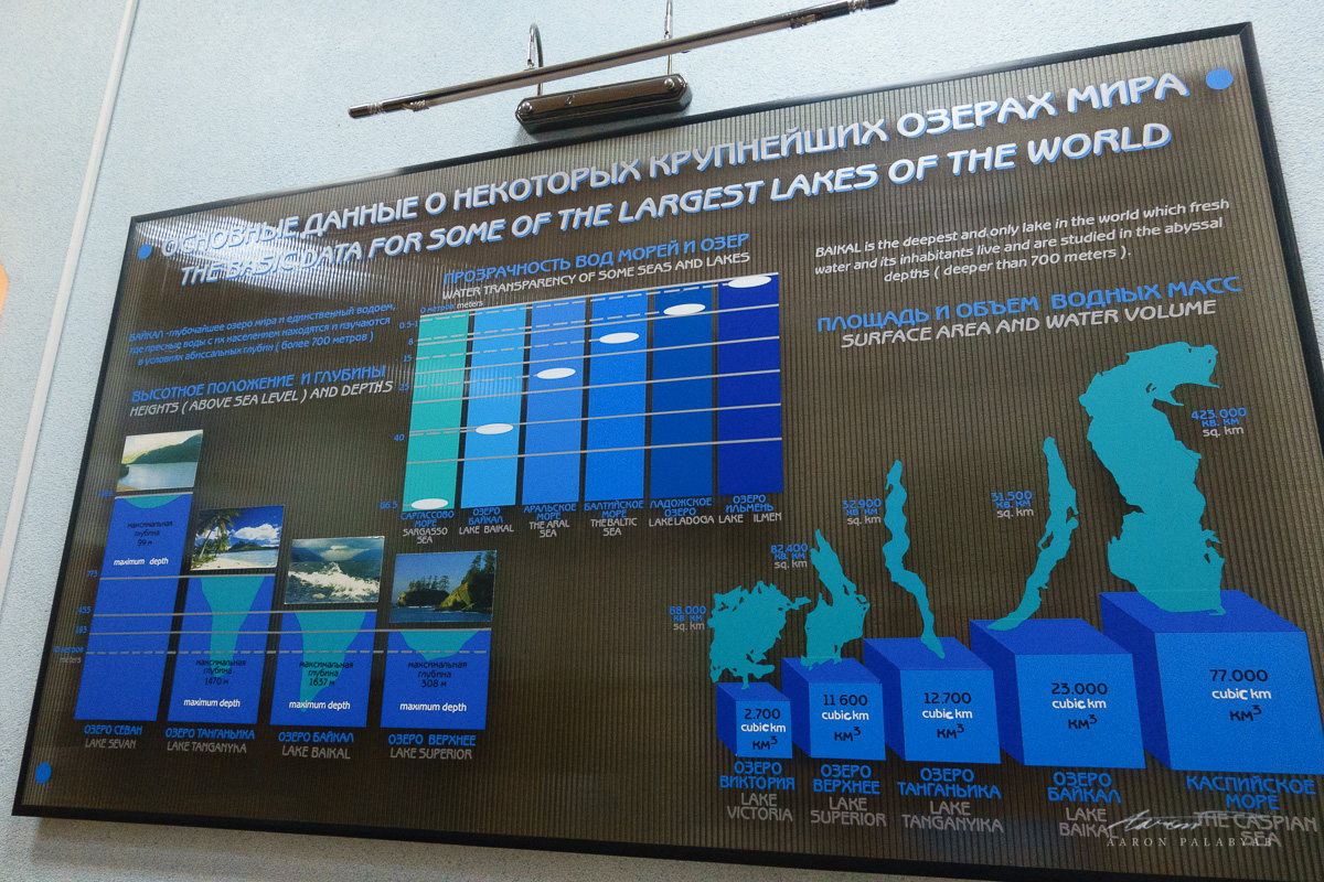Comparing the Baikal to the world's great lakes