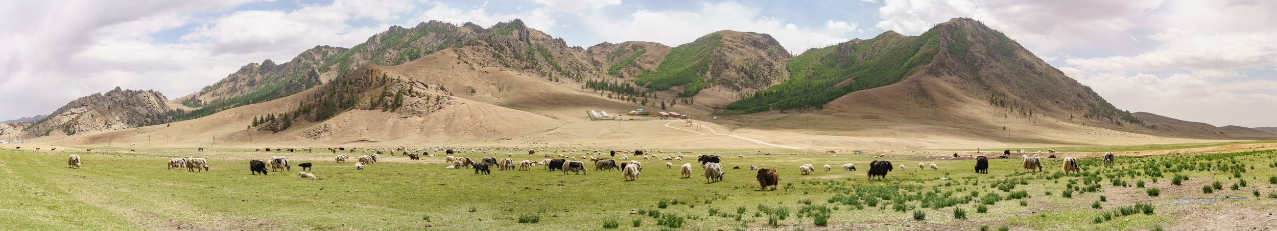 Panorama of said yak spot
