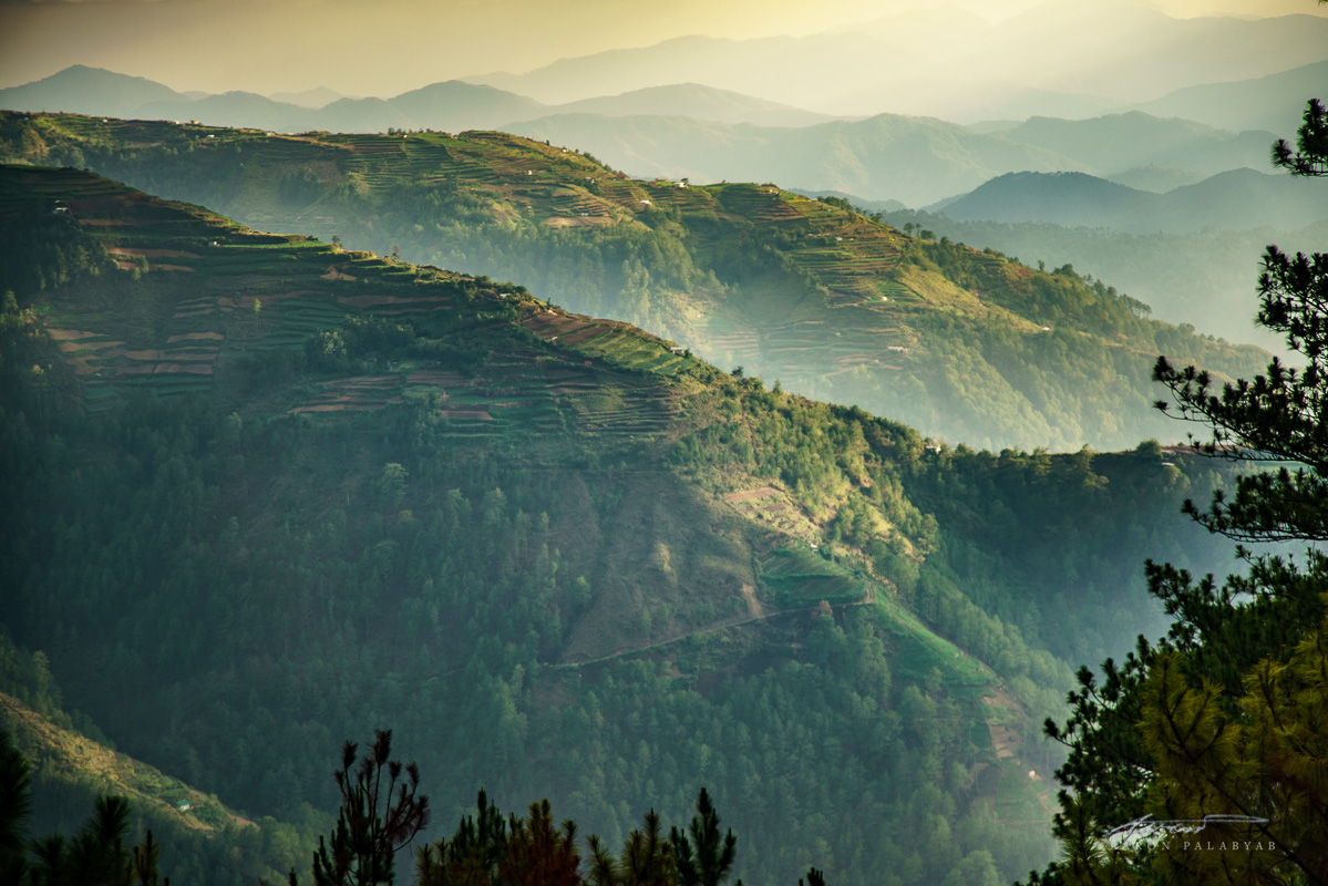 Rice Terraces, Ambangeg Trail, Mt. Pulag