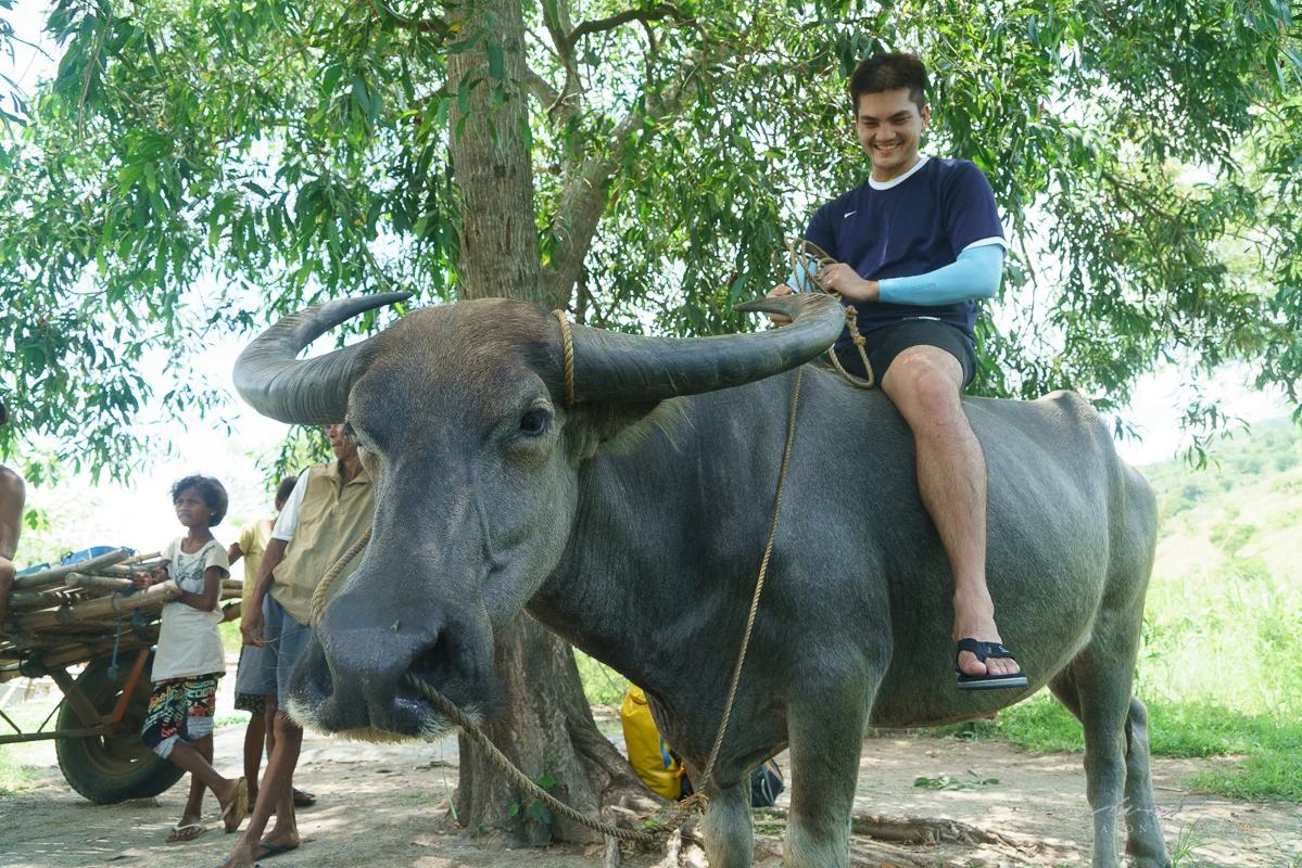 Enzo enjoying a ride on an uncooperative carabao