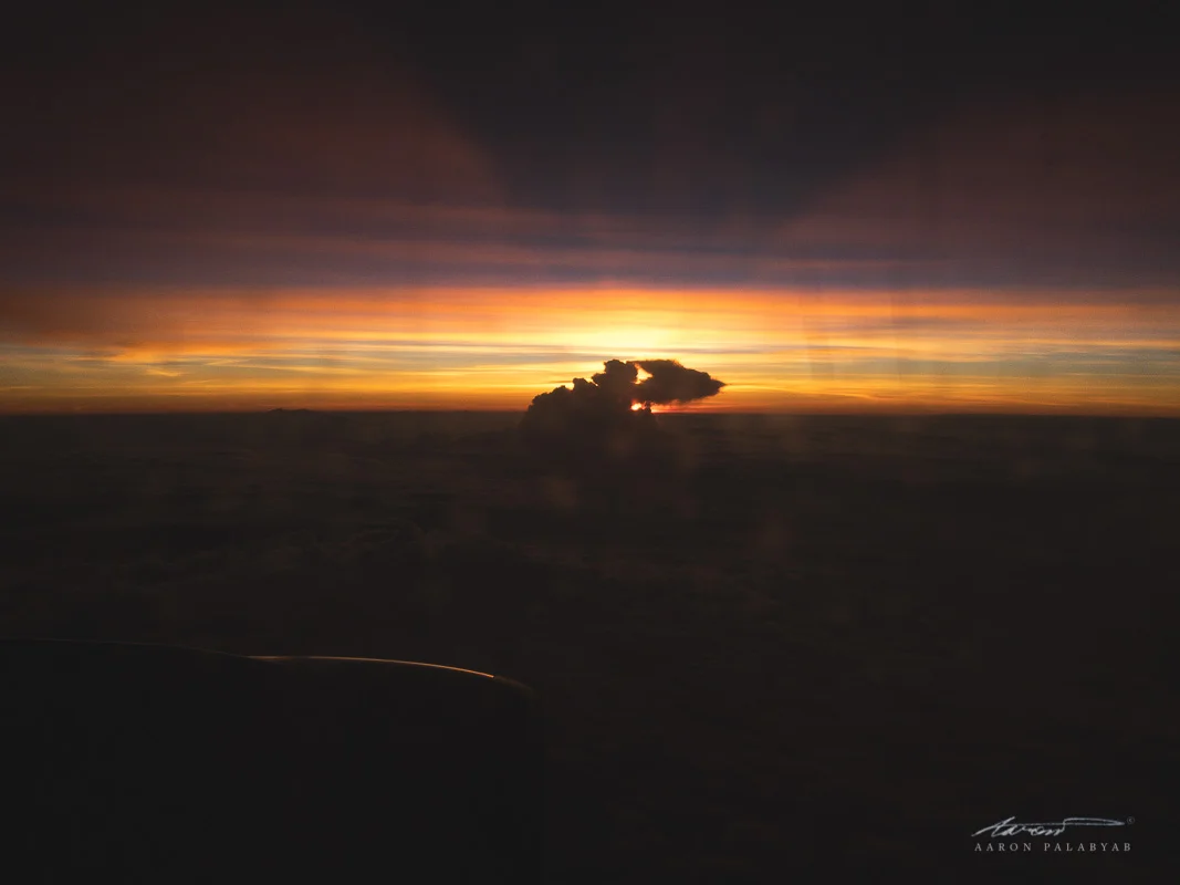 iPhone X RAW DNG shot and edited Lightroom CC mobile.