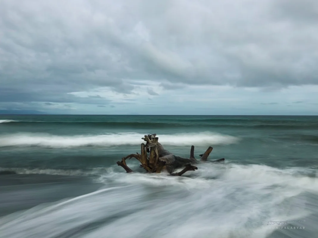 Dead tree on Sabang Beach, Baler. iPhone X live photo converted to long exposure.