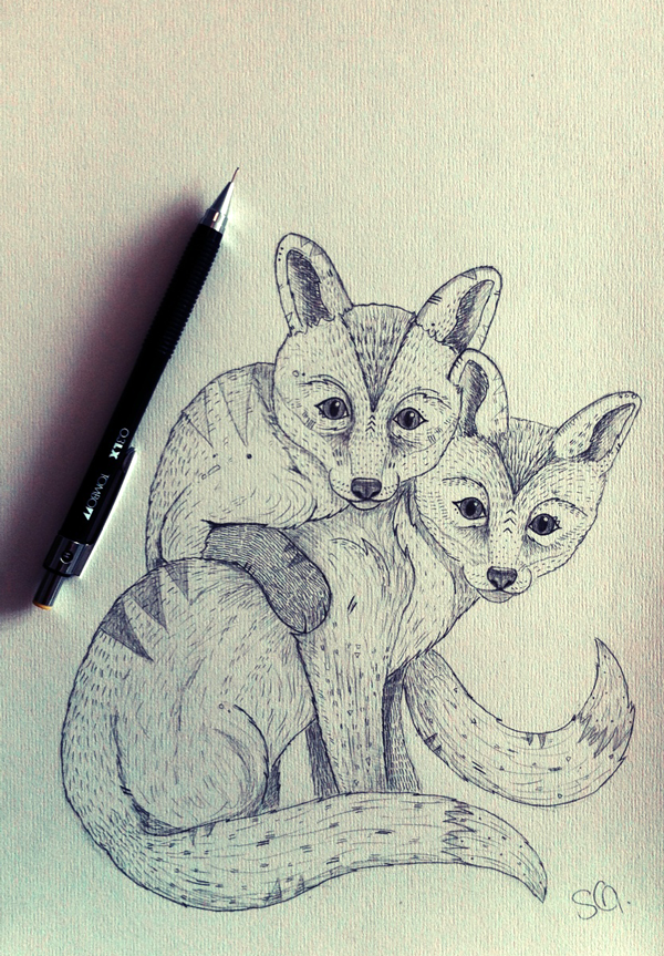 Fox illustration