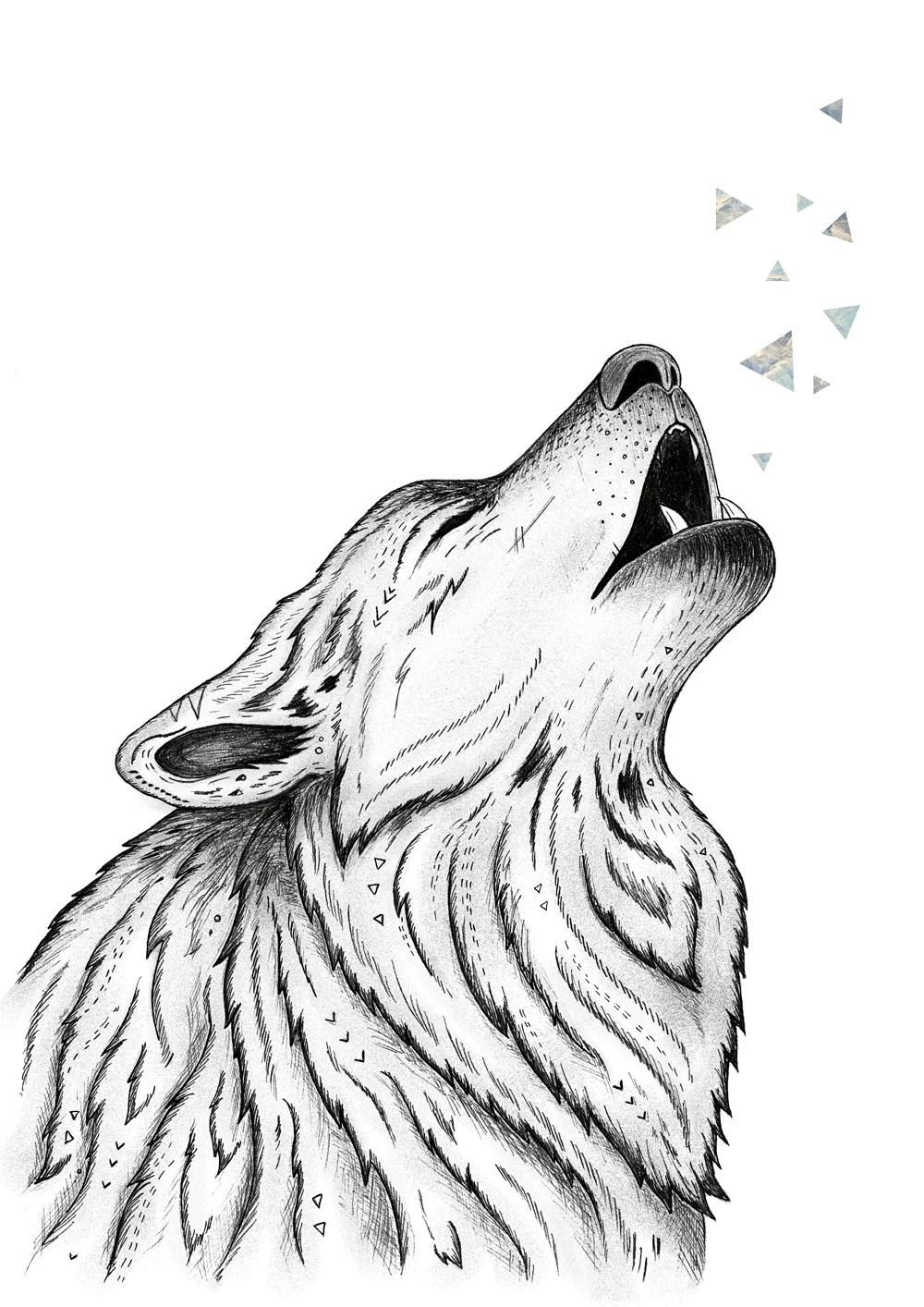 Wolf_drawing.jpg