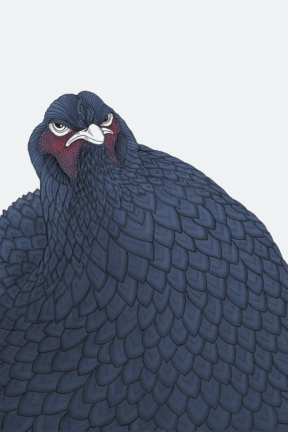 Bird_drawing_02.jpg