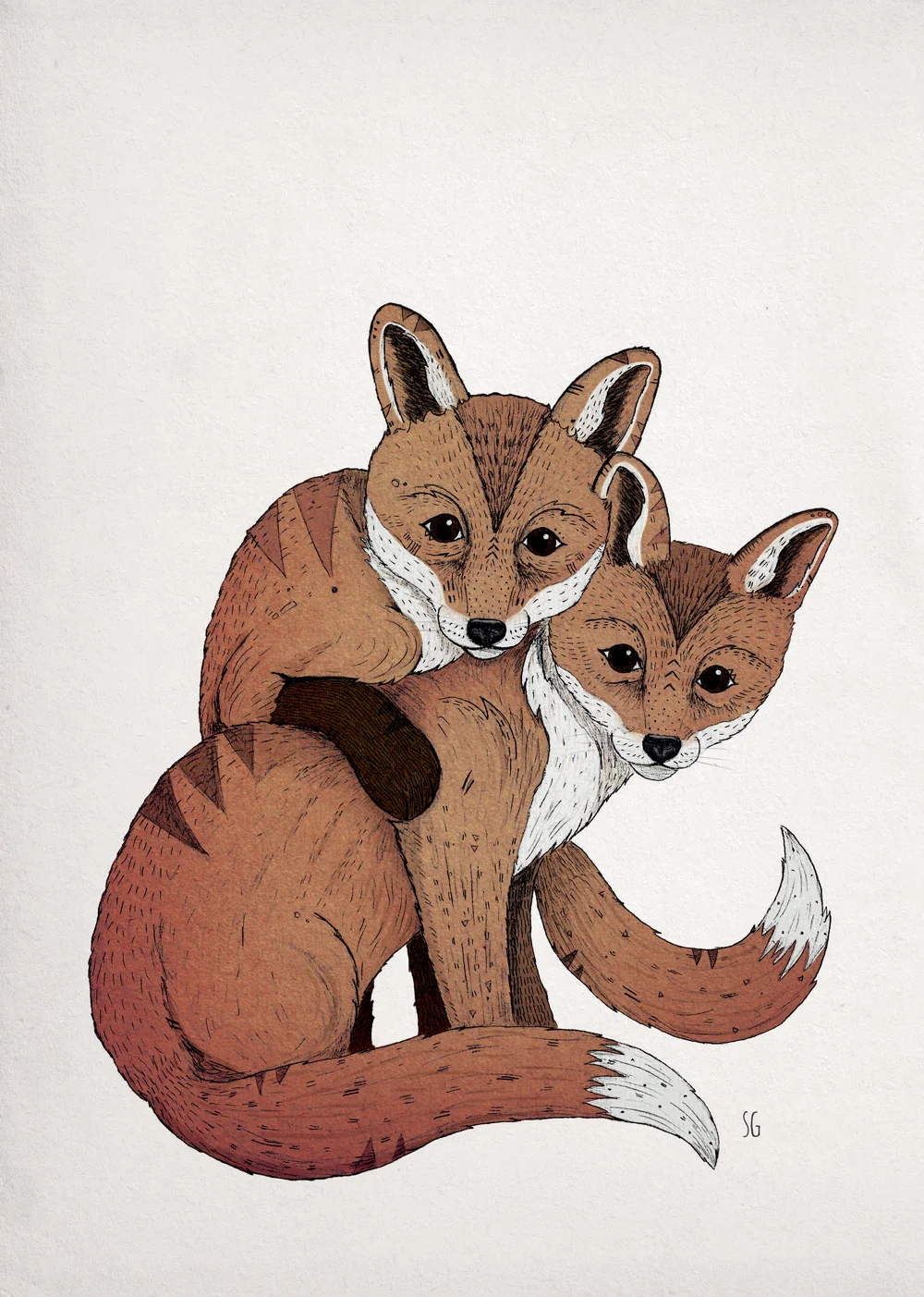 fox_drawing_02.jpg