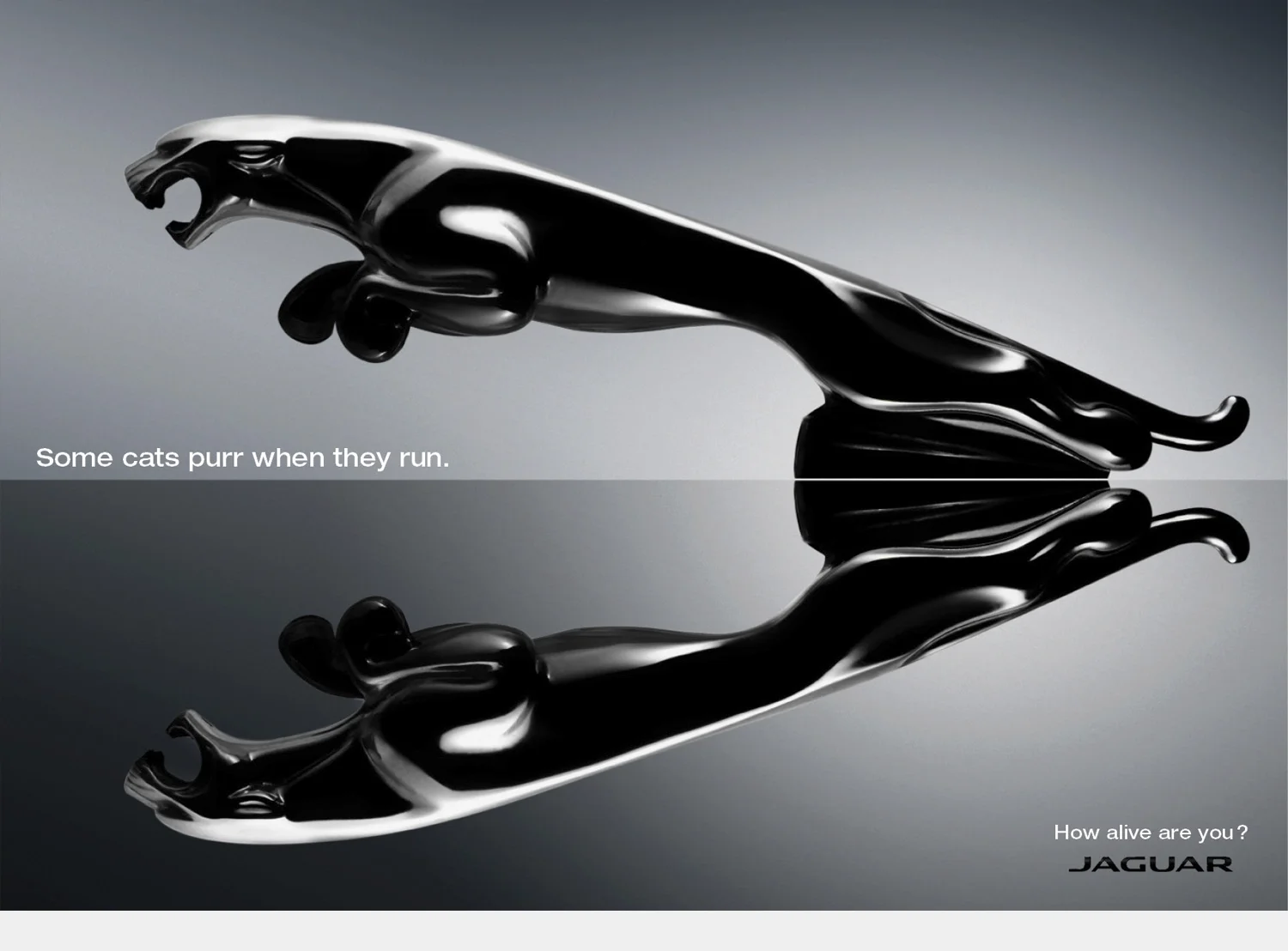 Still Life & Automotive Photography London - John Mac 59.webp