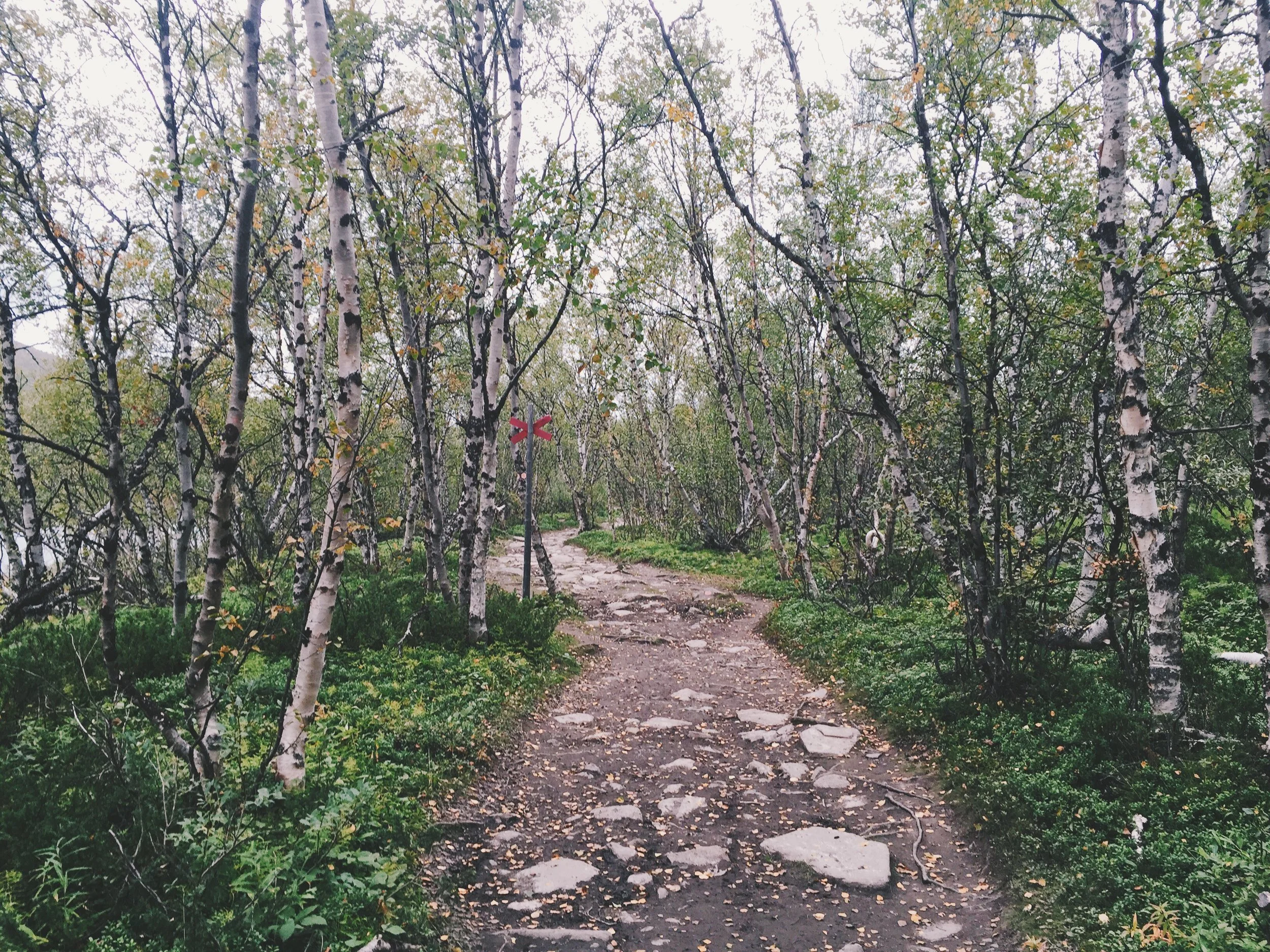 Kungsleden Tag 1 : Abisko - Abiskojaure