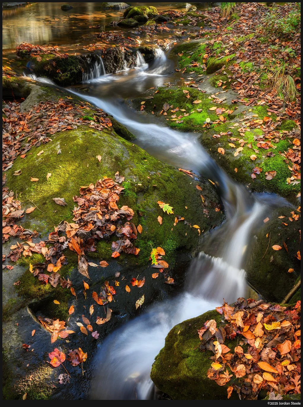fallingwater_zigzag.jpg