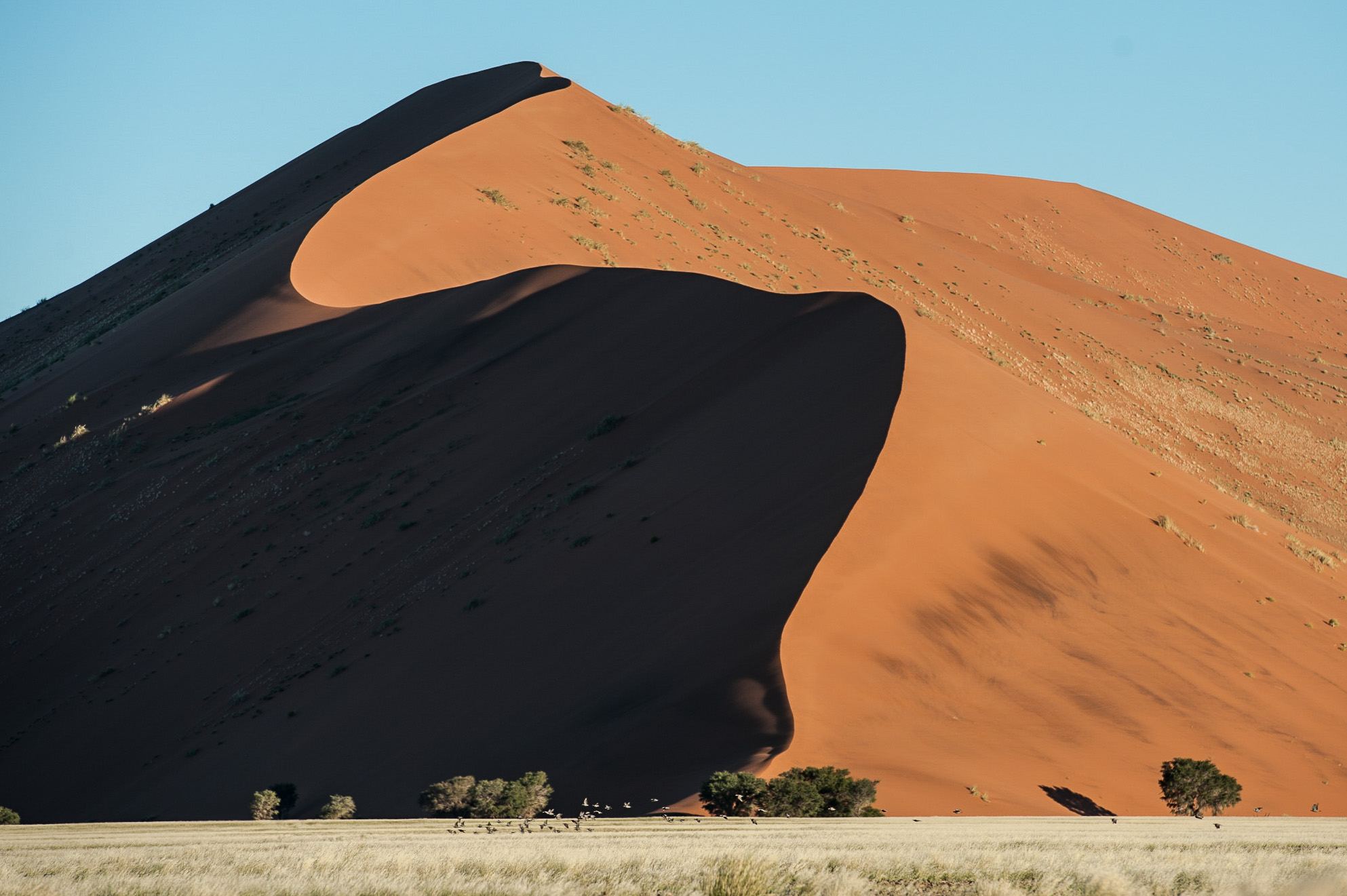 Namibia_dunes.jpg