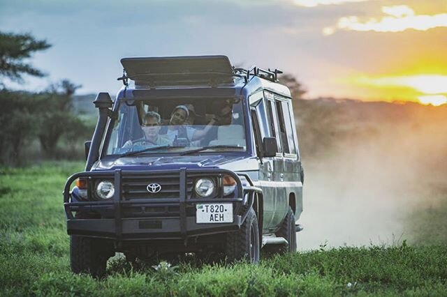 Get that motor running! Early morning until late at night, looking for adventure with Wildlife Explorer. #safari #tanzaniasafari #lushgreen #eatdust #rooftop #spotter #coffeeaddict #landrover #grill #acacia #gamedrive #sunrise #sunset #comeflywithme