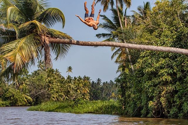 Mad skills @paulopedro123 - backflipping into the Pangani river (it&rsquo;s fine, we only saw two crocs).
