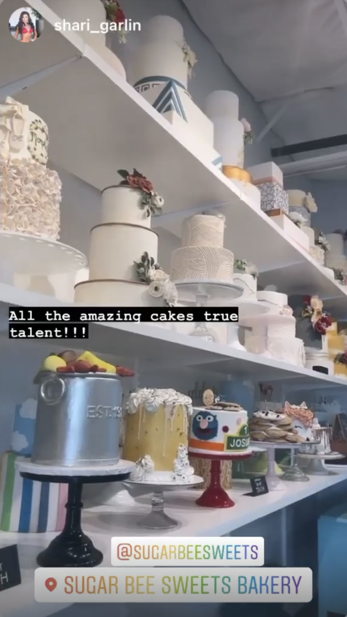 Sugar Bee Sweets Bakery Visit Us in Arlington, TX Cake Bakery
