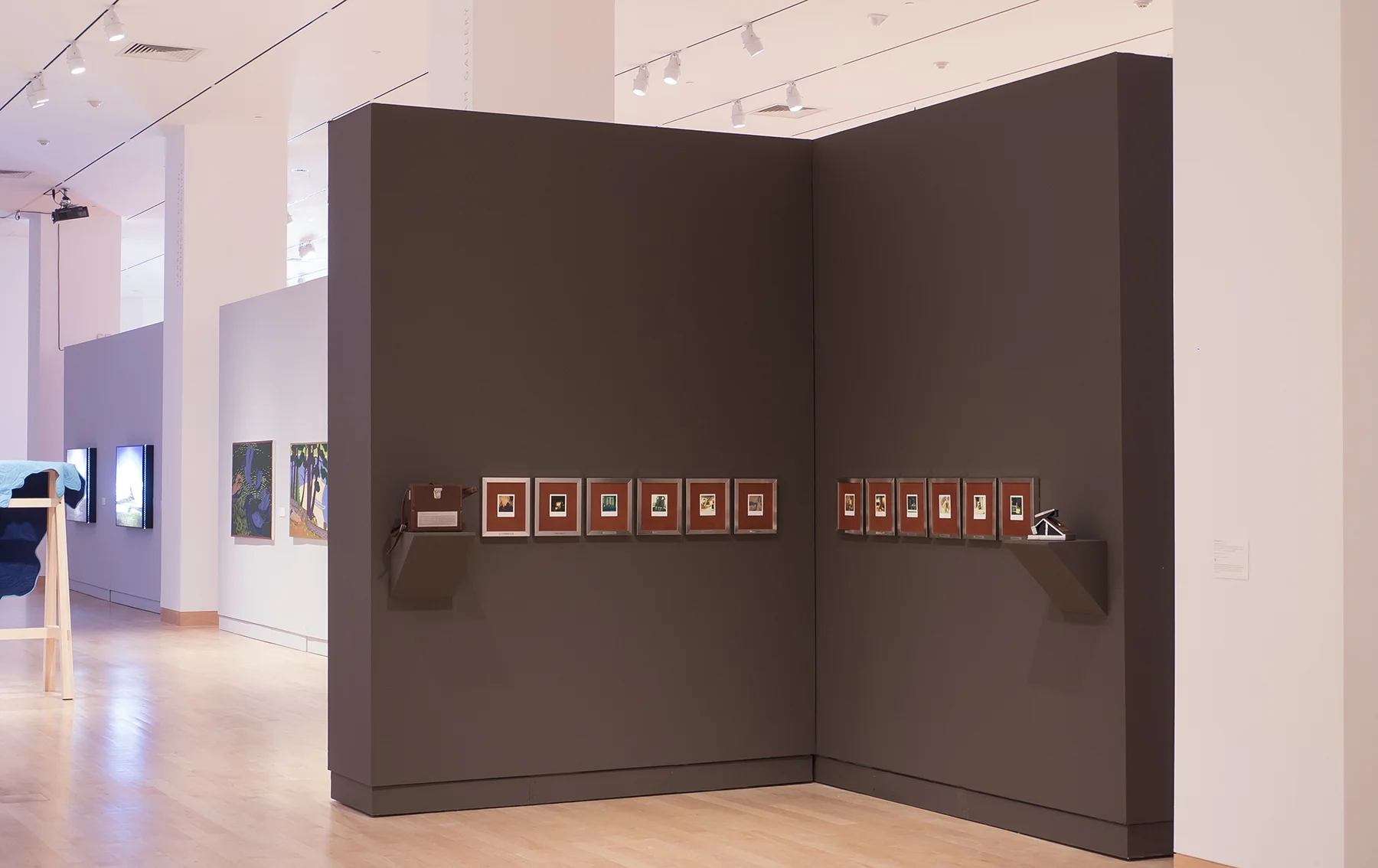 Installation view, Wisconsin Triennial Exhibition, Madison Museum of Contemporary Art, September 2013-January 2014. Installation consists of twelve SX-70 Polaroids, Impossible Project film, embossed vintage chrome and leather SX-70 Polaroid camera body and leather carrying case.