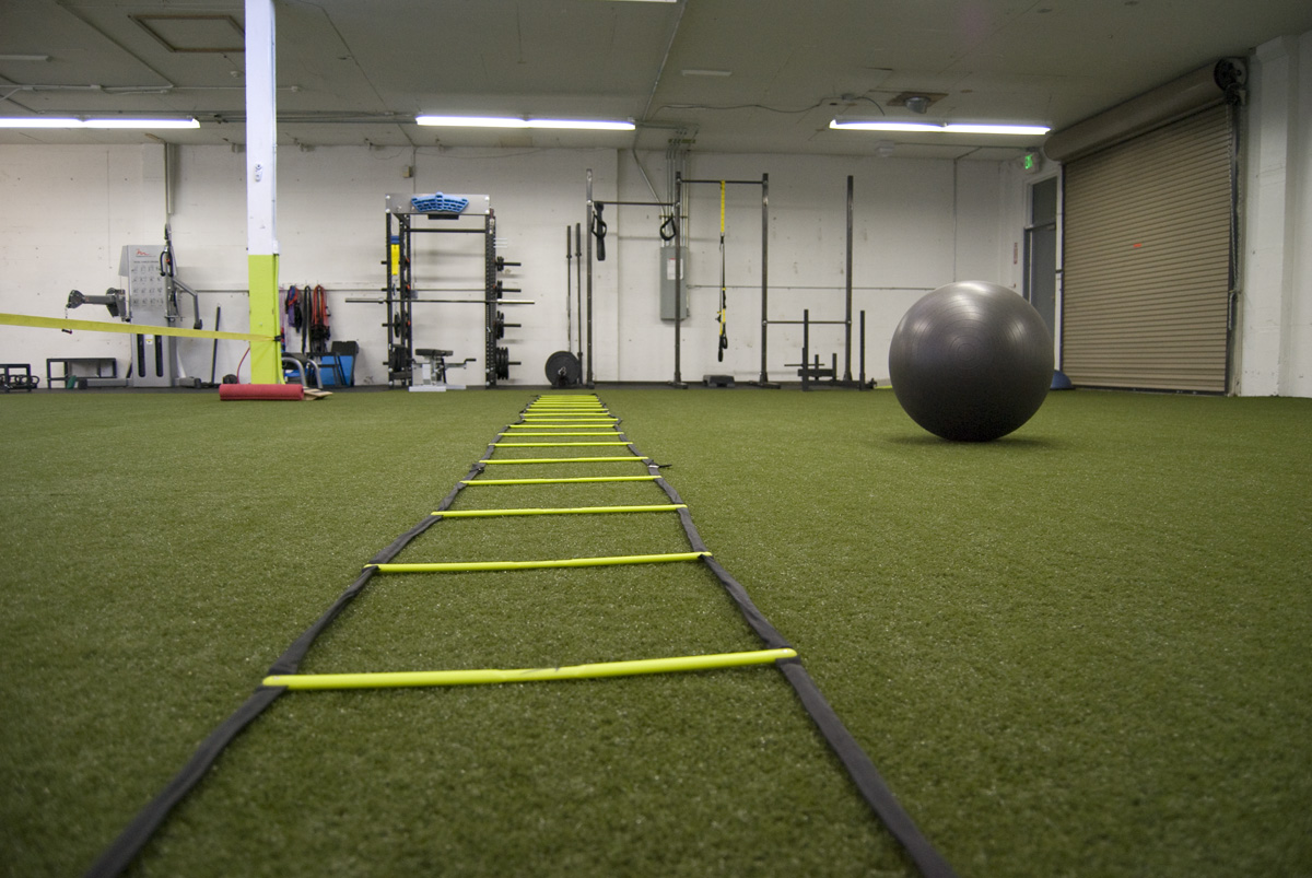 OpenGym_1.jpg