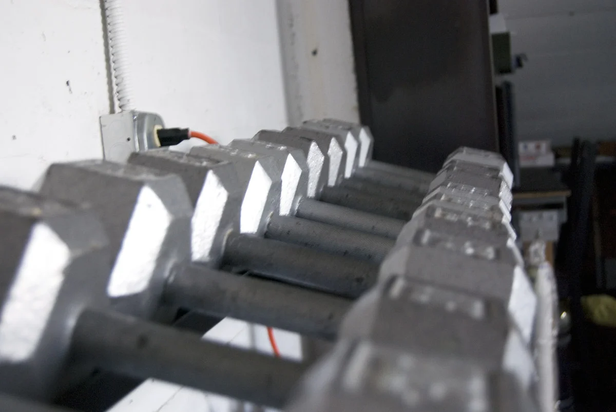 KineticIntegration_Weights.jpg