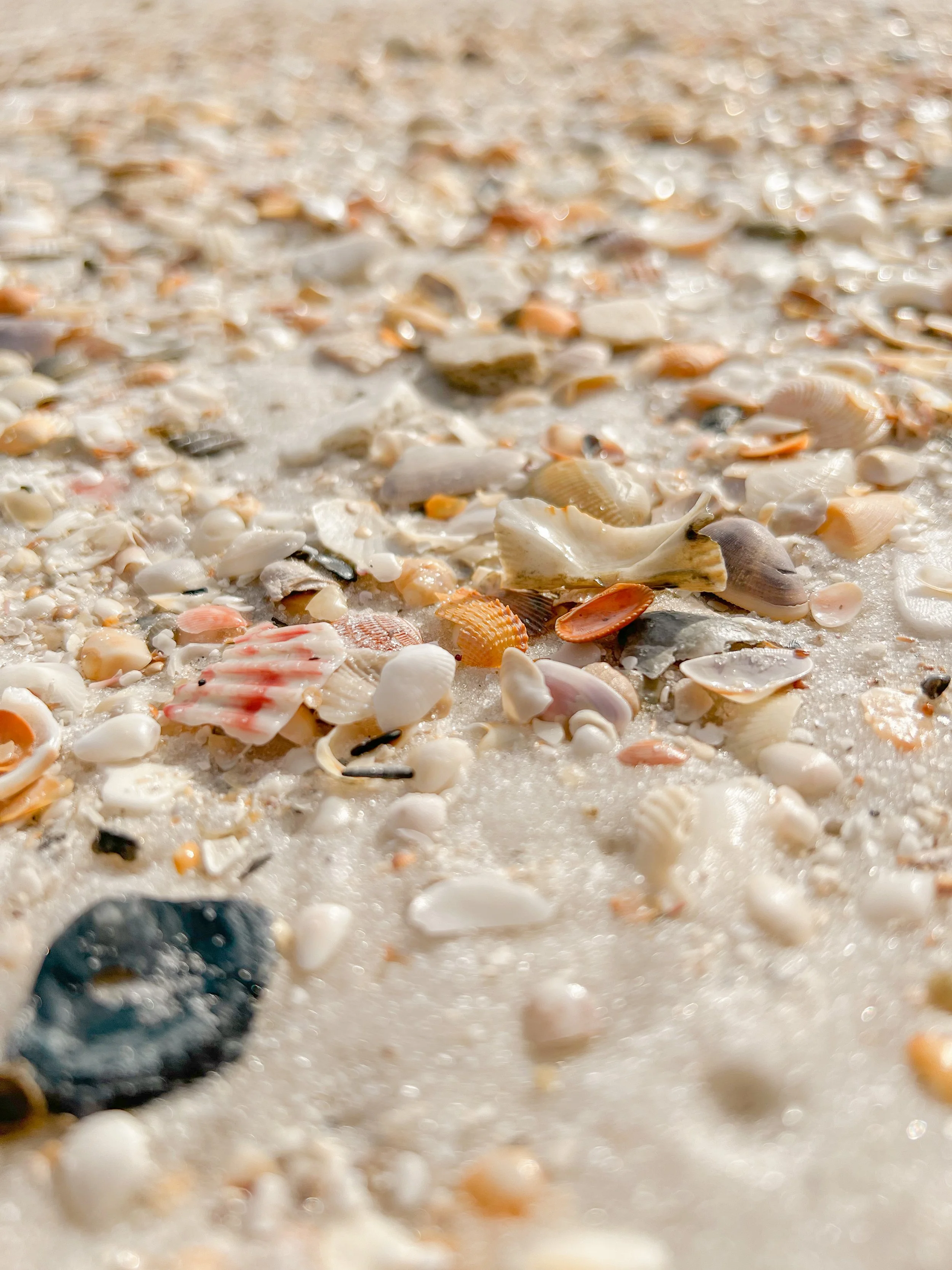 Our month in Florida! 