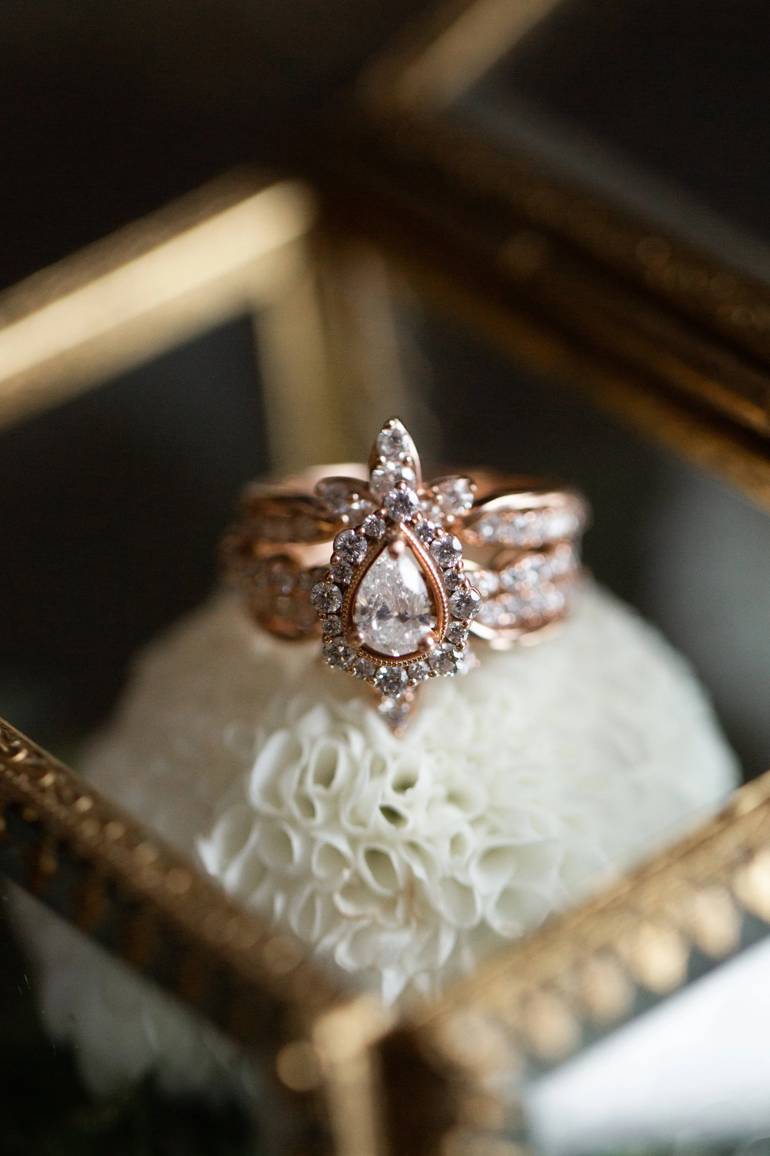 Taylor and Brogan's Winter Wedding at the Omni Hotel in Indianapolis