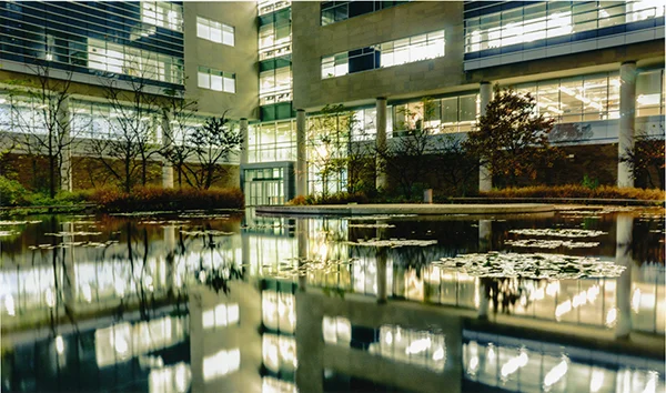 Class: Color Photography I Fall 2015 Assignment: Color in Reflection Media: Inkjet Print Student: Scott Westcott