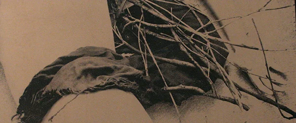 Class: Non-Silver Photography Spring 2015 Assignment: Cyanotype Media: Tea-toned Cyanotype on Watercolor Paper Student: Rachel Von Behren