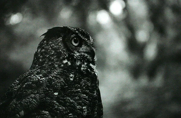 Class: Photography I Spring 2015 Assignment: Open Assignment Media: Inkjet Print Student: Samuel Loo