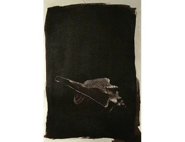 Class: Non-Silver Photography Spring 2015 Assignment: Van Dyke Brown Media: Van Dyke Brown Print on Watercolor Paper Student: Brandon De Sha
