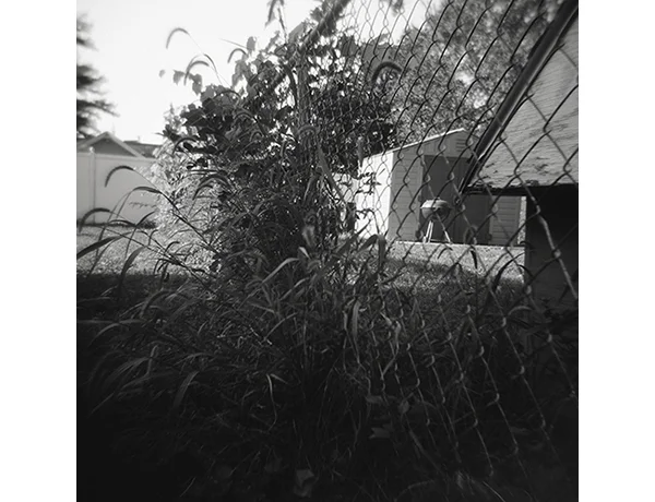Dogtown Backyard 2015 Inkjet Print from Film Negative 12" x 12"