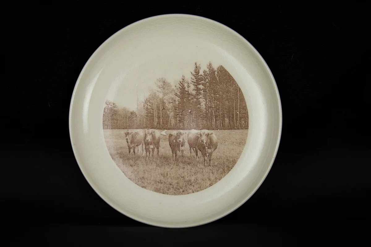 Cows in Pasture 2016. Glaze and fired-on decals on porcelain. - 7.5” diameter
