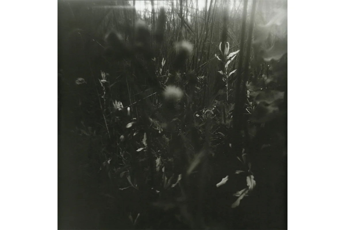 Untitled 1 - Dream Series 2015. Silver gelatin print on fiber-based paper. - 16x16”