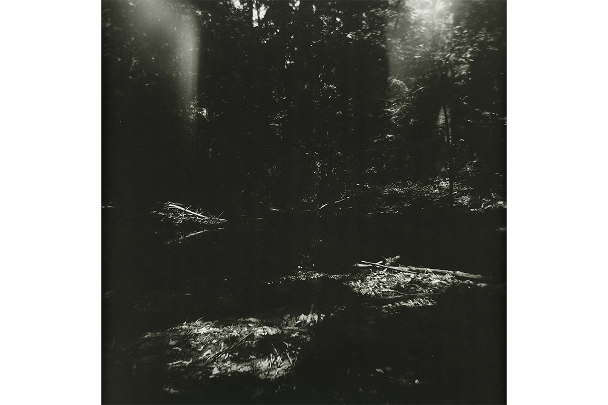 Untitled 3 - Dream Series 2015. Silver gelatin print on fiber-based paper. - 16x16”