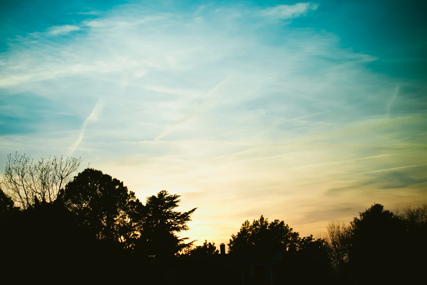 august_0001.jpg