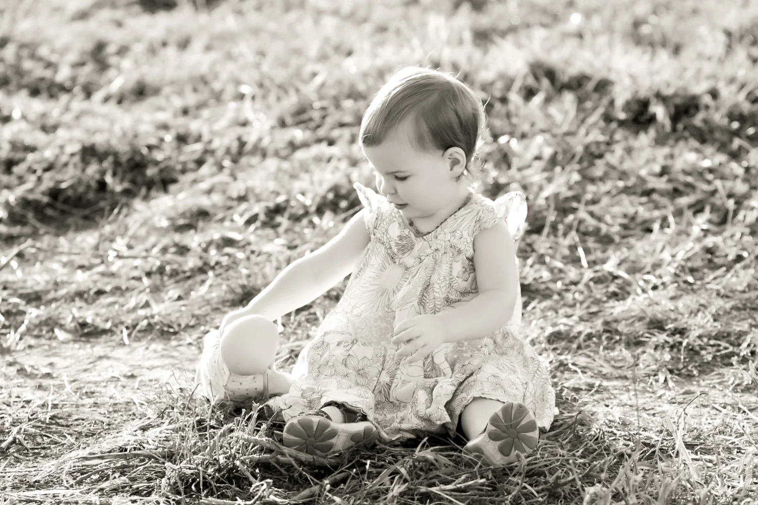 Letters to Sunday | 20 Months