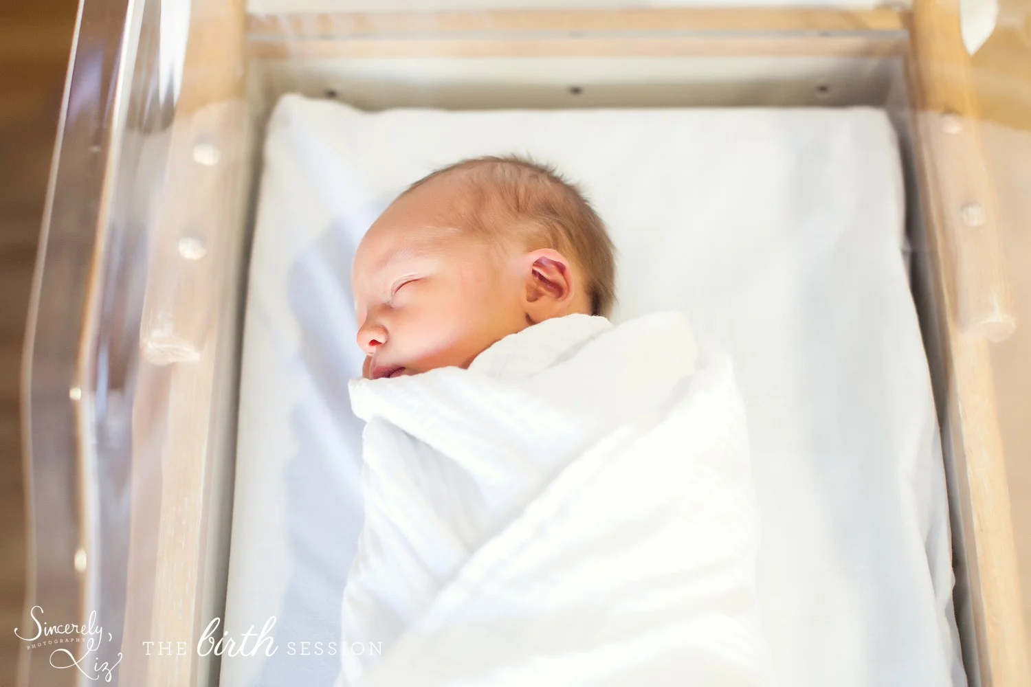 Baby Grove | Fresh48