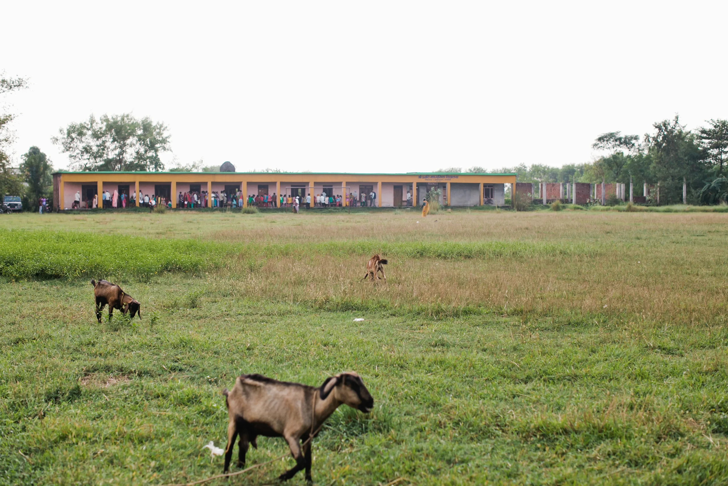 The Scene from Outside