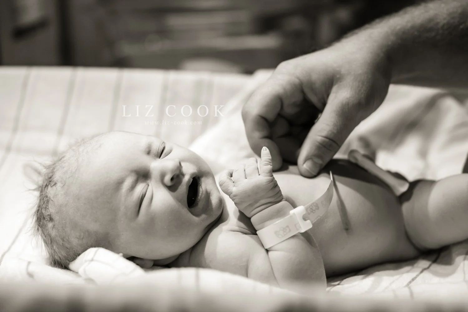 July Birth Photography Q&A