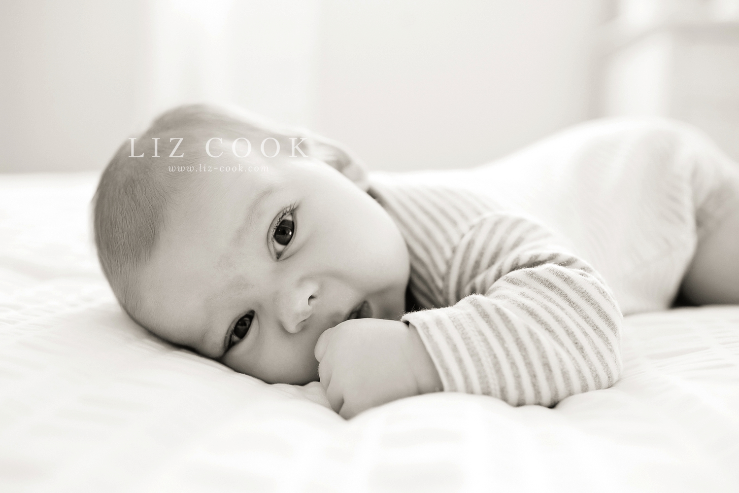 lynchburg_virginia_studio_newborn_session_0003.jpg