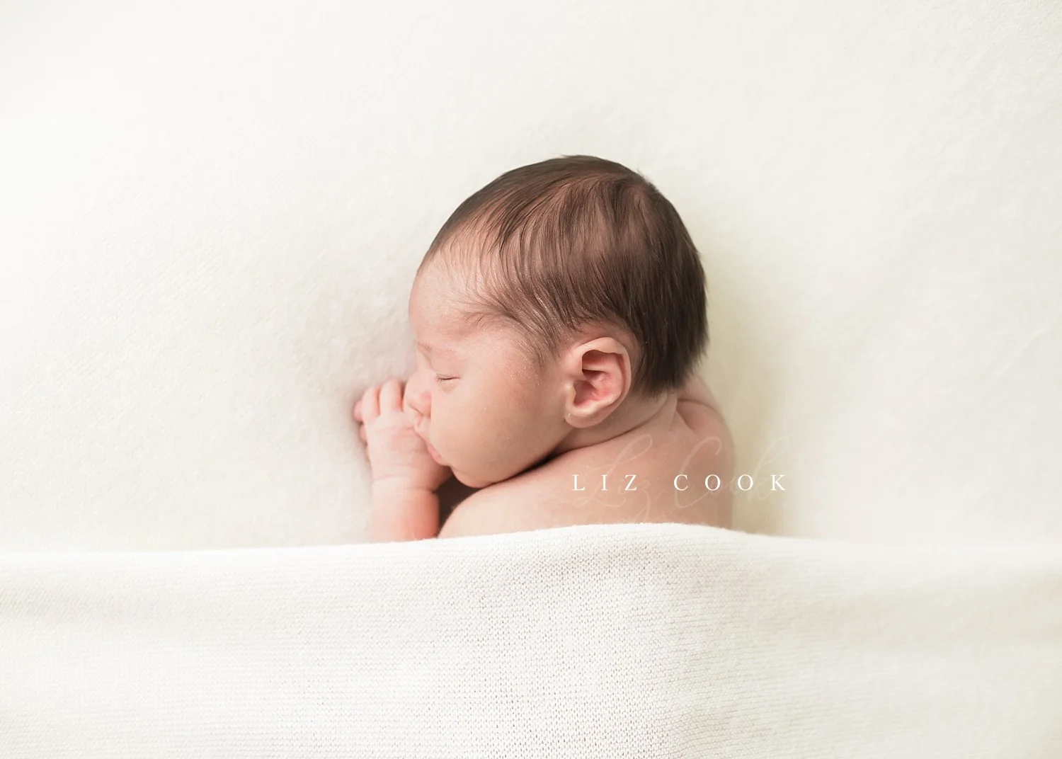 lynchburg-virginia-studio-newborn-photos-_0009.jpg