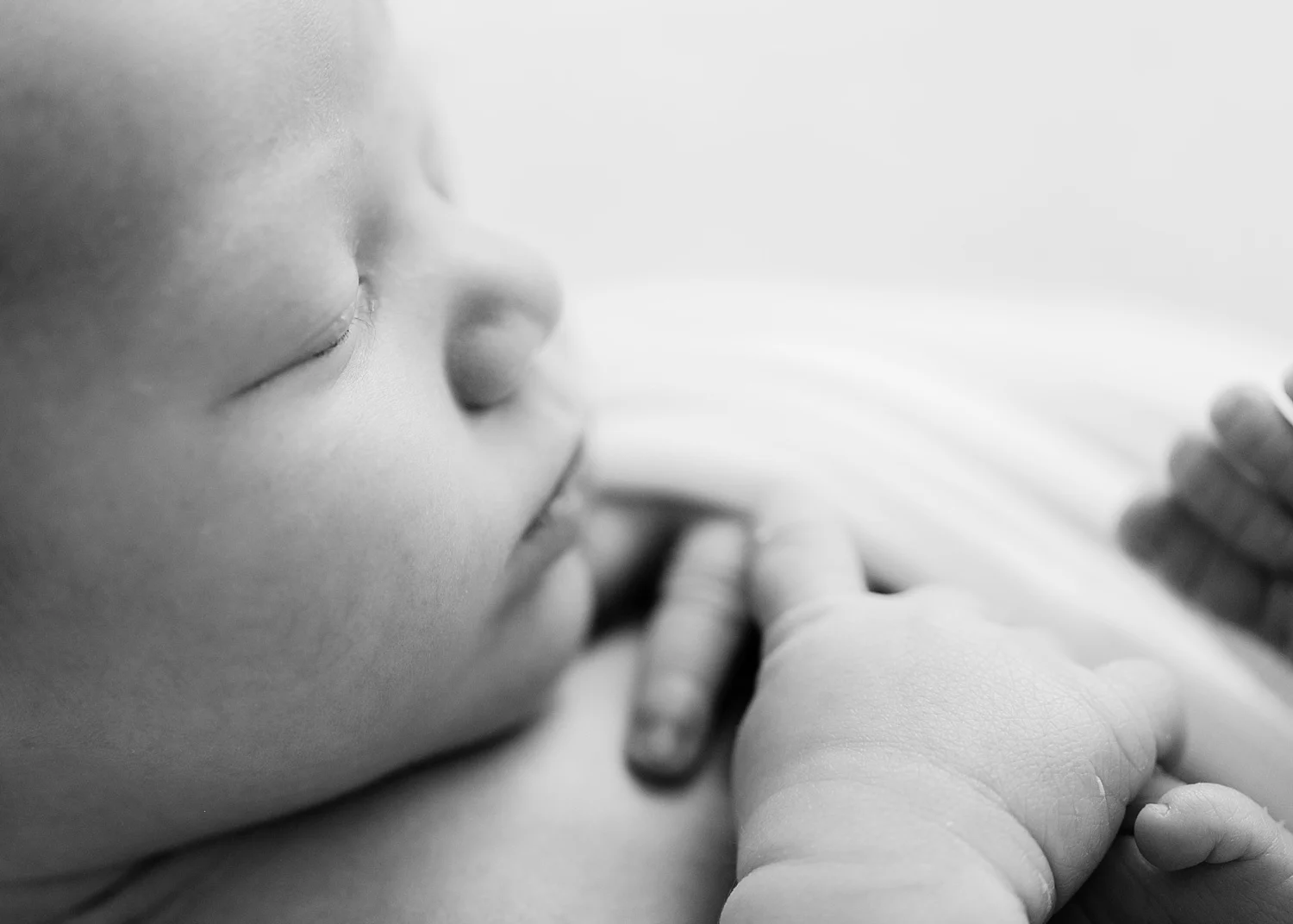 lynchburg-virginia-studio-newborn-photos-_0010.JPG
